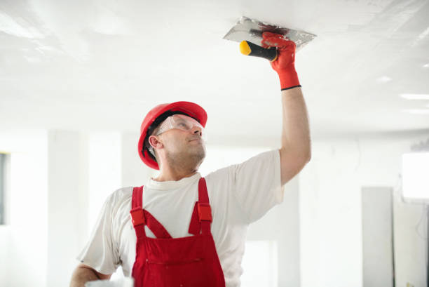 Best Painting for New Construction  in Minneola, FL